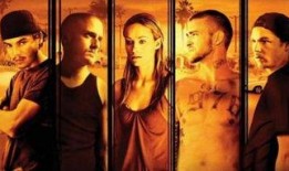 领头狗电影在线观看,勇闯巅峰的传奇之旅